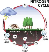 AYX中国-包含库里在雄鹿比赛中比分优势明显圣安东尼奥马刺止住颓势备战NBA常规赛，巴黎圣日耳曼围绕意甲单刀错失都惊呆了的词条